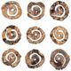Uttermost® Corkscrew 9-Piece Natural Wall Decor Set-0