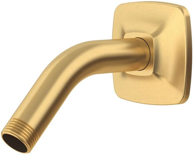 American Standard Townsend® Brushed Cool Sunrise Showerhead Arm and Flange-1