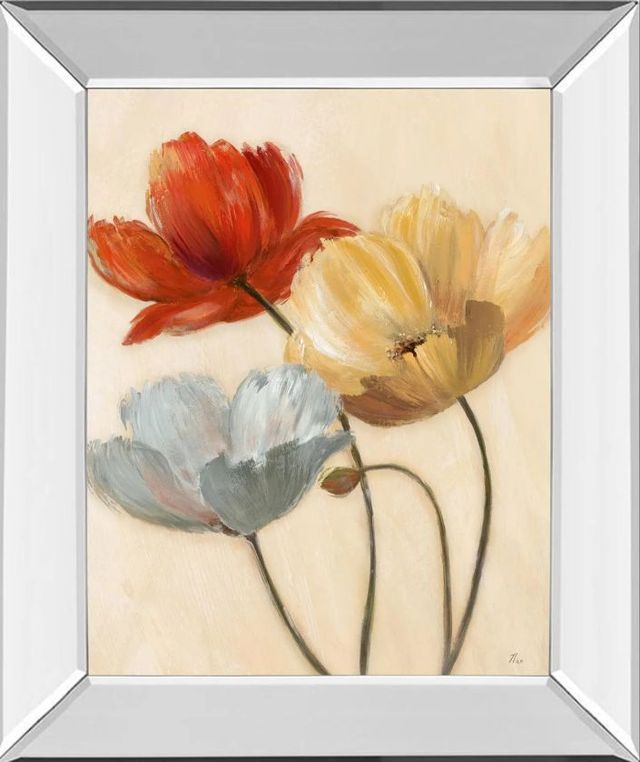 Classy Art Poppy Palette Il by Nan Mirror Framed Wall Art-0