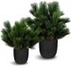 Le Present Pinus Green 28" Faux Botanical-1