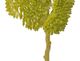 A & B Home Green Cauliflower Pick-1