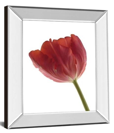 Classy Art Red Tulip by Art Photo Pro Framed Wall Art-1