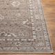 Surya Carlisle Sage 4'x6' Area Rug-2