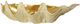 Stylecraft Norman Wyatt Home Gold/Natural Clam Bowl-0