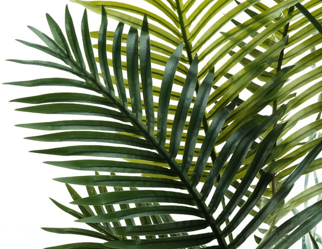 Monarch Specialties Inc. Black 57" Artificial Potted Palm Tree-2