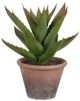 A & B Home Green Potted Faux Black Prince Succulent-0