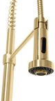ZLINE Autograph Edition Apollo Champagne Bronze Pull Down Spring Single Handle Kitchen Faucet-3