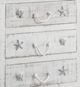 Crestview Collection Seaside Sand Chest-1