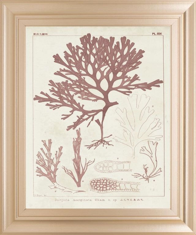 Classy Living Vision Studio Antique Coral Seaweed II Wall Art-0