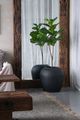 A & B Home Black Pot-4