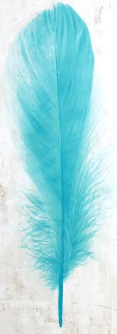 Classy Art Blue Feather Wall Art-1