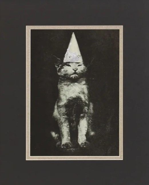 Stylecraft Cat Hat Framed Print-1
