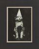 Stylecraft Cat Hat Framed Print-1