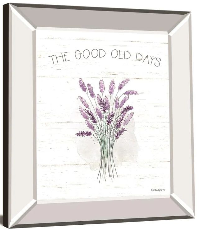 Classy Art Farmhouse Cotton VII by Beth Grove Mirror Framed Wall Art-1