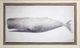Stylecraft Whale Black/White Wall Art-0