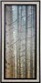 Stylecraft Forest Dreaming II Black/Light Brown/Light Gray Wall Art -0