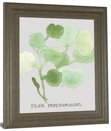 Classy Art Pilea Peperomioides by Katrien Soeffers Wall Art-1