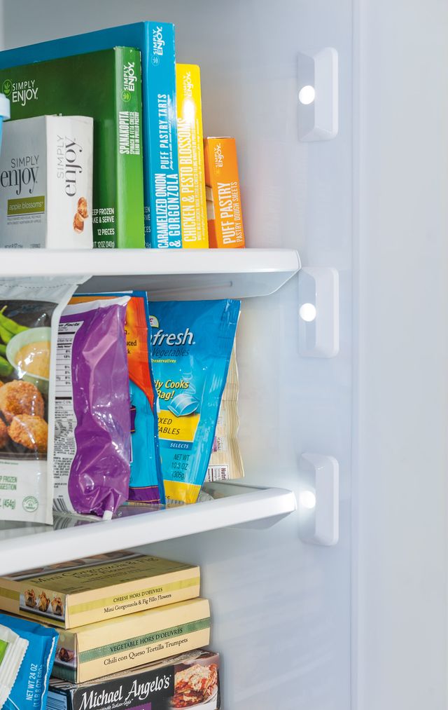 Frigidaire Professional® 18.6 Cu. Ft. Stainless Steel All Freezer-9