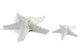 White Starfish Table Decor - Large-1