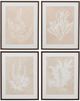 Bassett Mirror Marine Species 4-Piece Framed Print Set-0