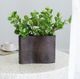 A & B Home Green Eucalyptus Spray-4