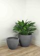 Le Present Sandstone Helmet Grey 12" Planter-4
