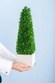 A & B Home Green Potted Faux Boxwood Topiary Tree-2