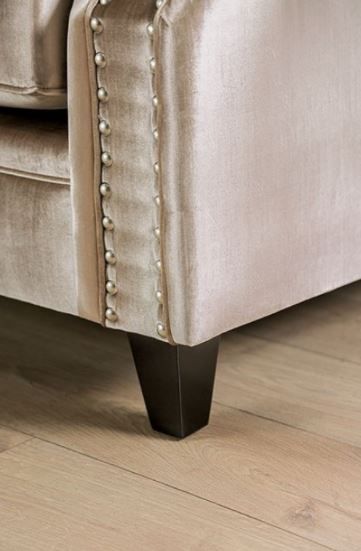 Furniture of America® Elicia Champagne Sofa-3