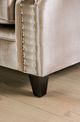 Furniture of America® Elicia Champagne Sofa-3