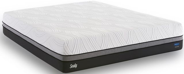 Sealy® Conform™ Premium™ N11 Gratifying Gel Memory Foam Firm Smooth Top Queen Mattress-0