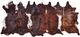 Feizy Bartlett Exotic Dark Small Rug-4