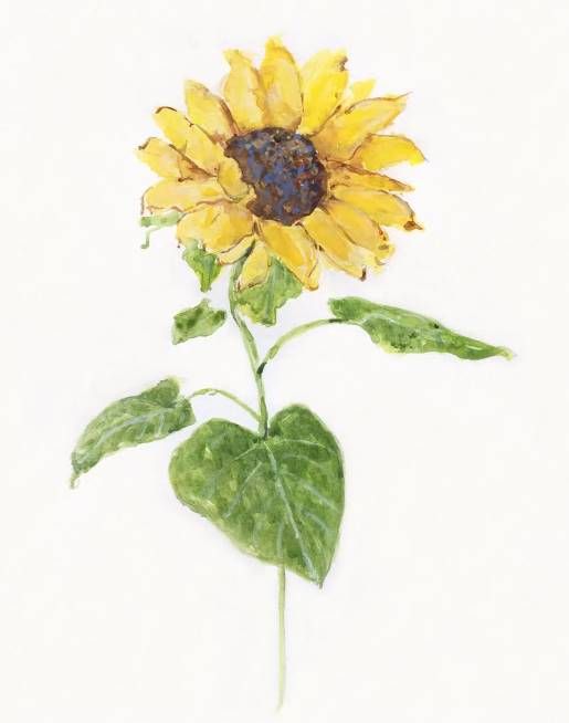 Classy Art Sunflower I by Sally Swatland Wall Art-1