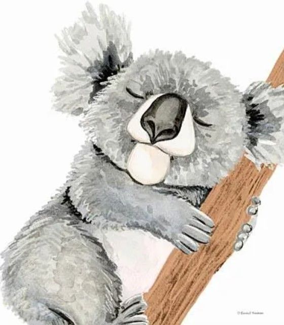 Classy Art Cuddles the Koala by Rachel Nieman Wall Art-1