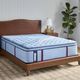Sealy® Posturepedic® Pro Crenshaw II 15" Wrapped Coil Medium Euro Pillow Top Split California King Mattress, Must Order Two for a Set-1