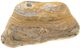A & B Home Eduardo Beige Hand-Carved Zebra Onyx Bowl-0