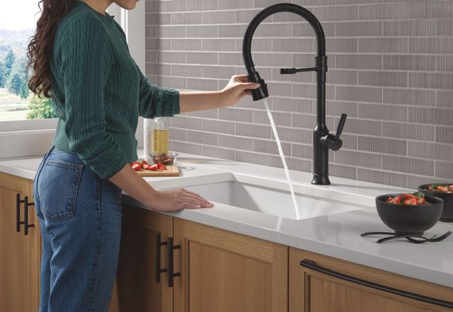 Delta Renaldi® Matte Black Single Handle Spring Kitchen Faucet-2