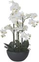 K & K Interiors 33" Orchid with Faux Moss in Matte Black Pot-0