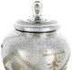 A & B Home Antique Silver Glass Jar with Lid-2