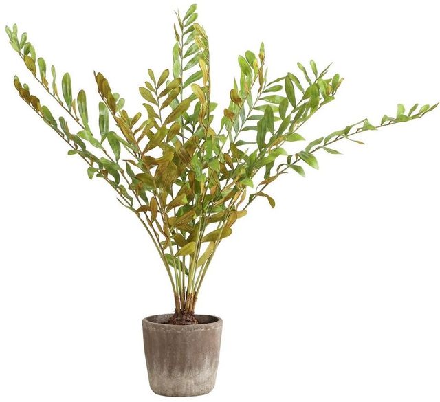 Uttermost® Zamia Brown/Green Palm Accent In Planter-2