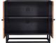 Jofran Inc. Astral Plains Reclaimed Natural 2-Door Accent Cabinet-2
