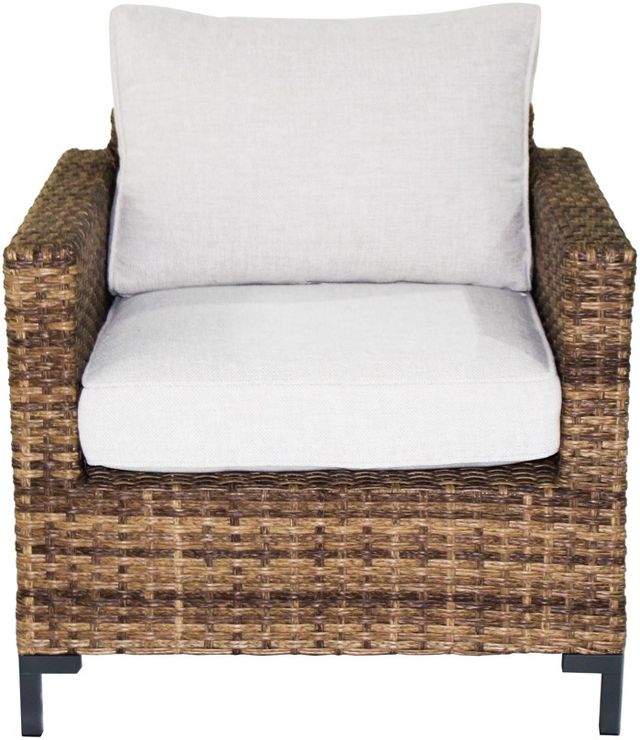 Plank & Hide Hanover Aluminum/Fabric/Wicker Outdoor Lounge Chair-1