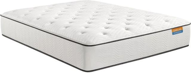 Simmons® Dreamwell Holiday™ Wrapped Coil Firm Tight Top Twin Mattress-0