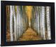 Classy Living Golden Birch Passage Wall Art-2