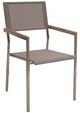 Enclover Acacia Stainless Steel/Teakwood Dining Chair-0