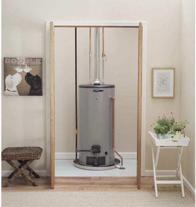GE® 40 Gallon Liquid Propane Water Heater-1