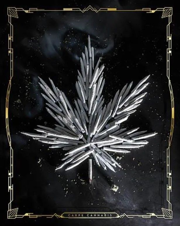 Classy Art Carpe Cannabis by JG Studios Wall Art-0
