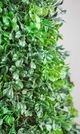 A & B Home Brown/Green Boxwood Tree-2