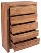 Porter International Designs Urban Natural Tall Chest-4
