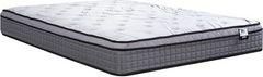 Springwall® Comfort Pockets® Clear View 11" Wrapped Coil Medium Plush Euro Top Queen Mattress in a Box