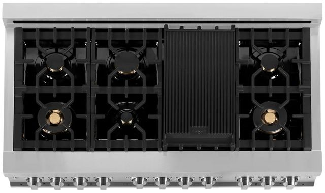 ZLINE 48" Stainless Steel Pro Style Dual Fuel Range-2